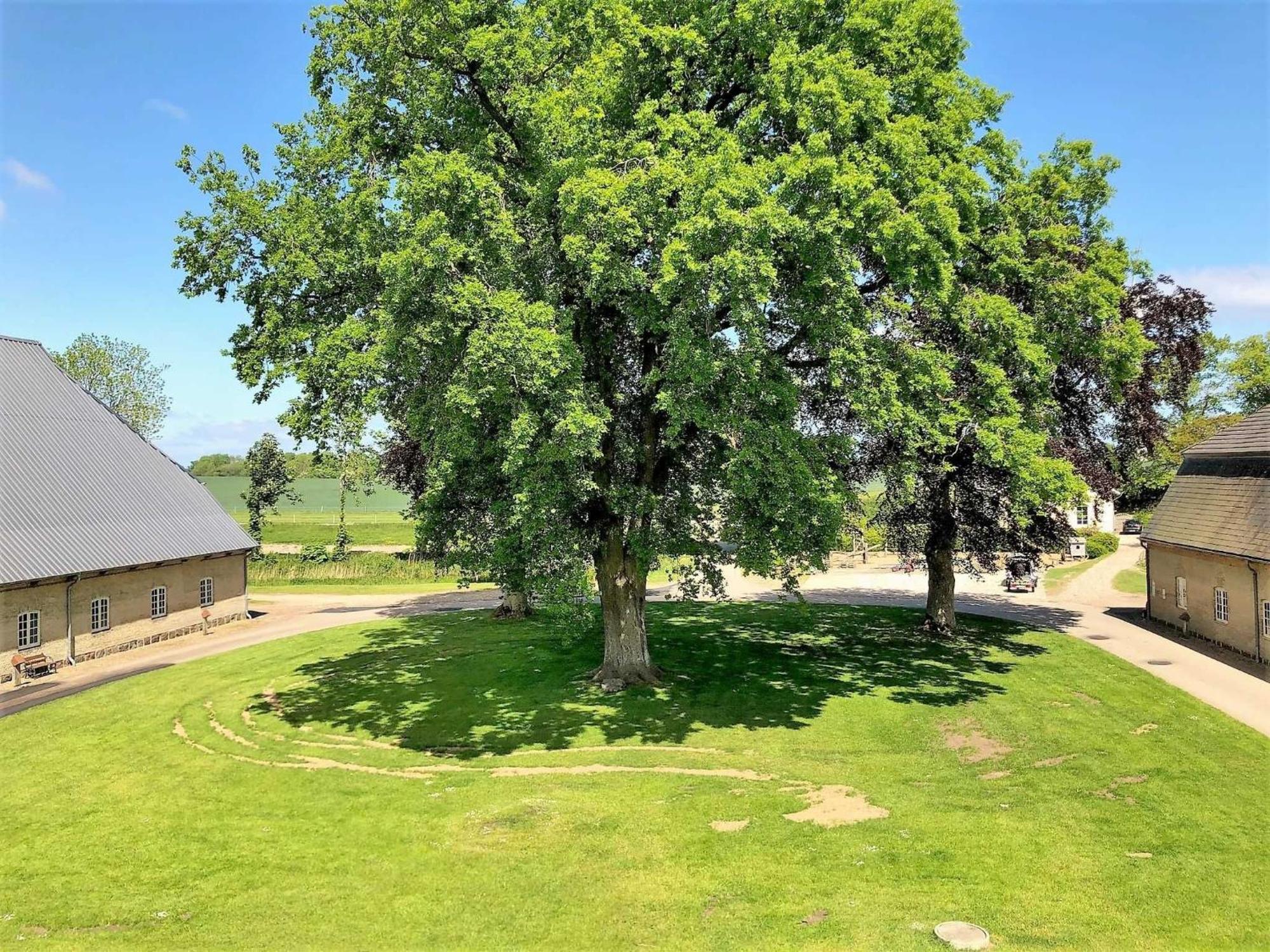 Ferienwohnungen Herrenhaus Gut Oestergaard Steinberg  Bagian luar foto